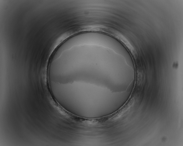 X0000102840994200809021332