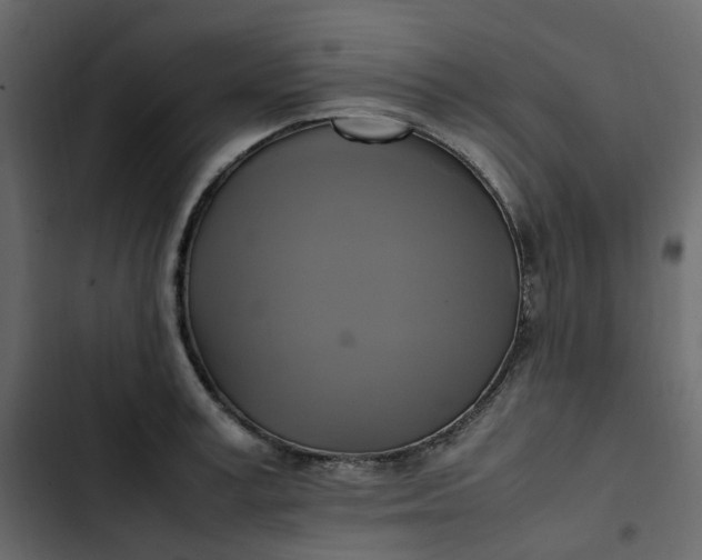 X0000102840995200809021332