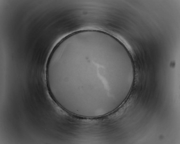 X0000102840996200809021332