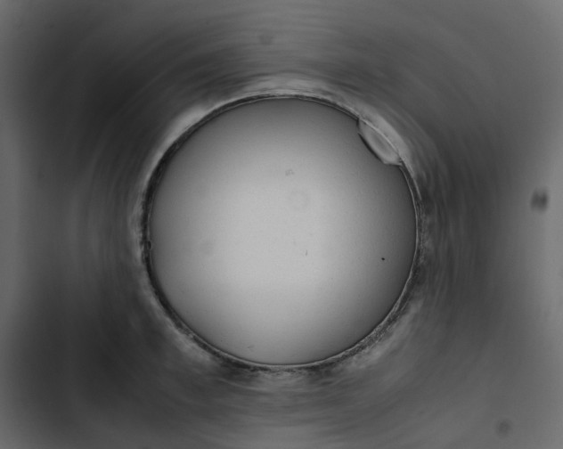 X0000102840997200809021332