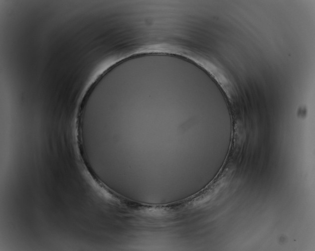 X0000102840998200809021332