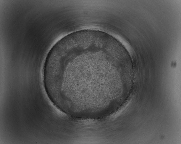 X0000102840999200809021332