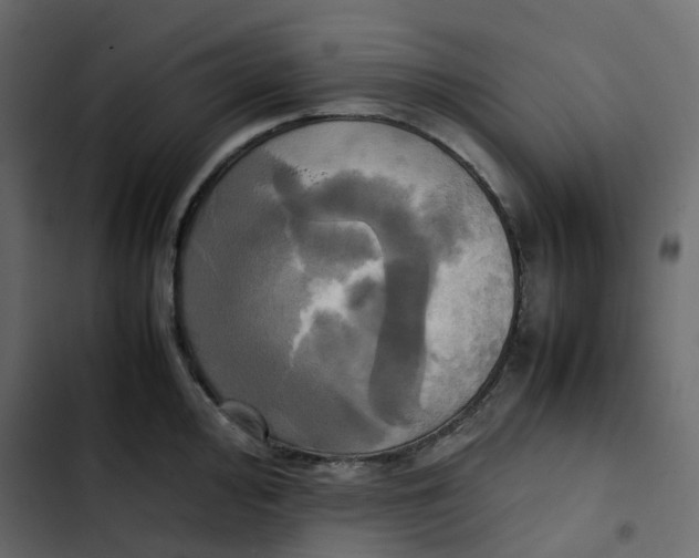 X0000102841000200809021332