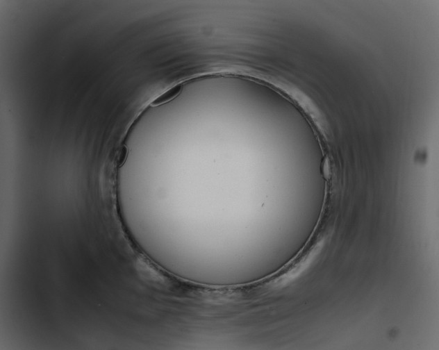 X0000102841001200809021332