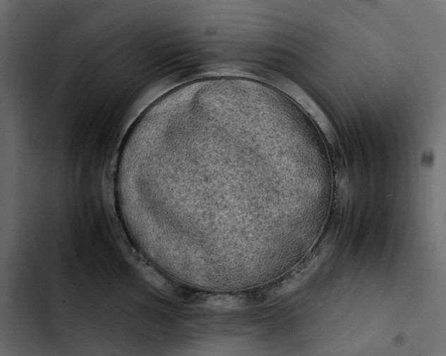 X0000102841002200809021332