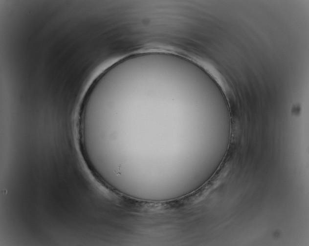 X0000102841003200809021332