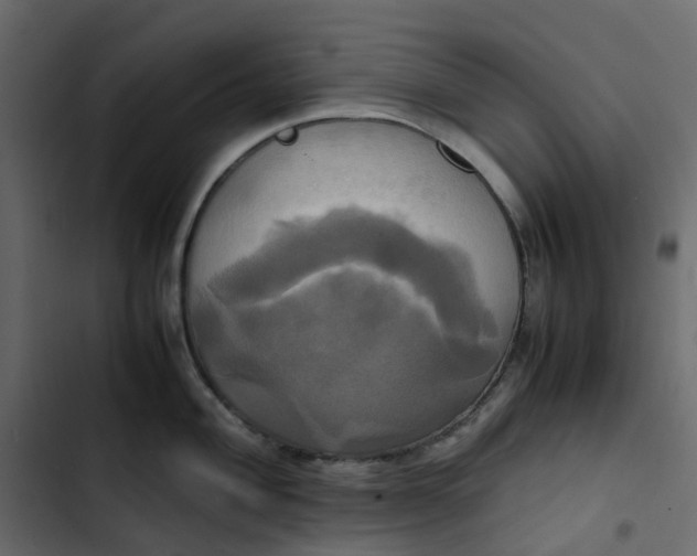 X0000102841004200809021332