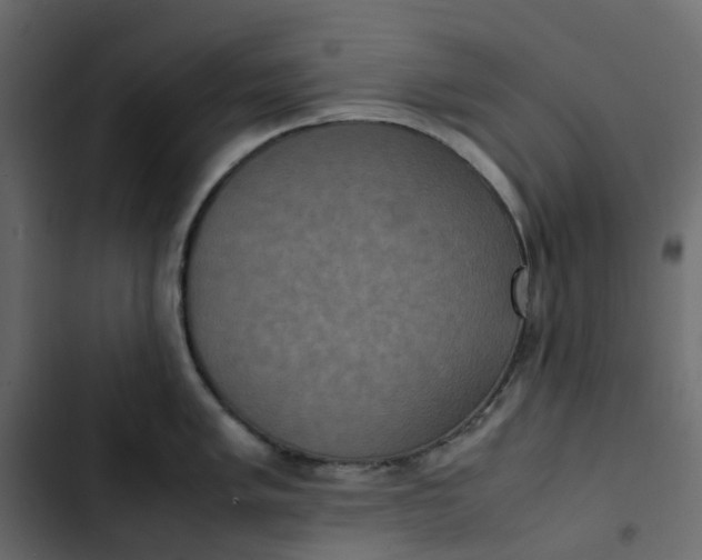 X0000102841005200809021332