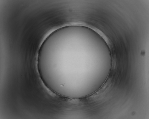 X0000102841006200809021332