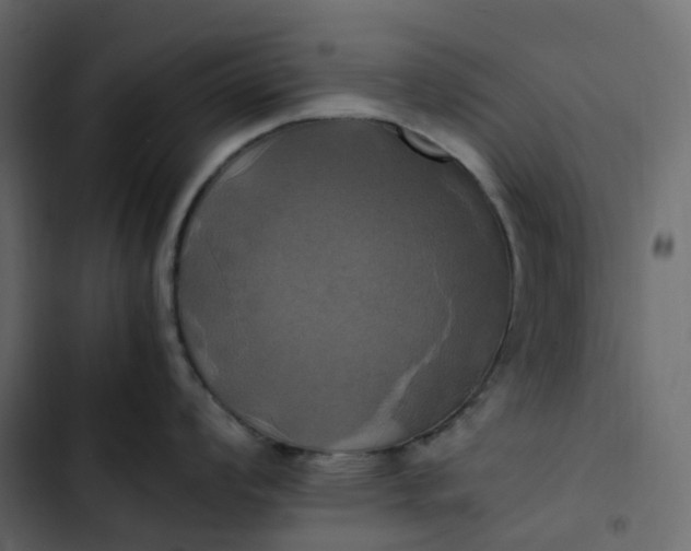 X0000102841008200809021332