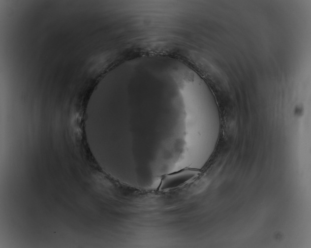 X0000102841010200809021331