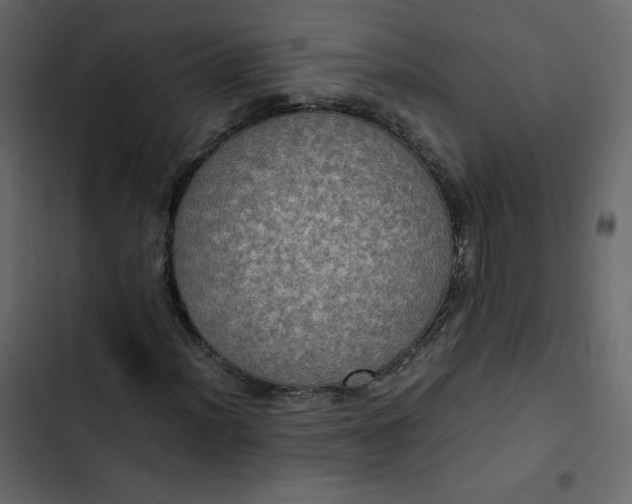 X0000102841012200809021331