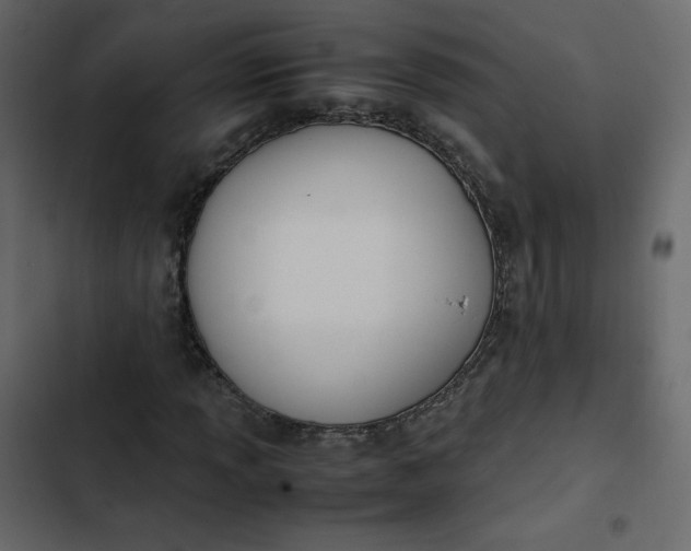 X0000102841013200809021331