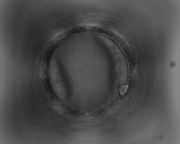 X0000102841014200809021331