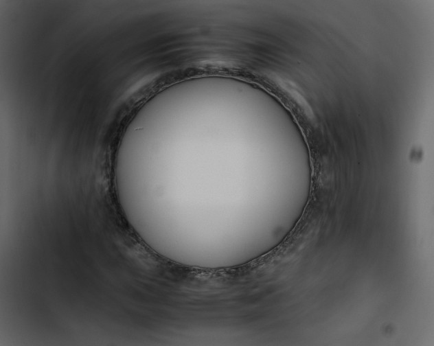 X0000102841015200809021331