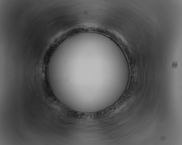 X0000102841016200809021331