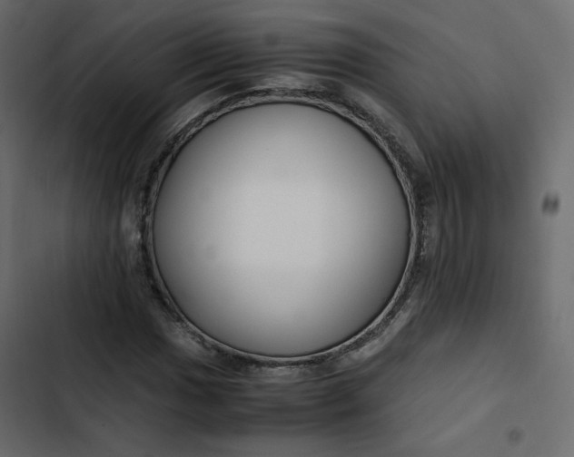 X0000102841017200809021331