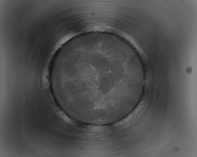 X0000102841018200809021331