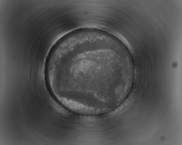 X0000102841020200809021331