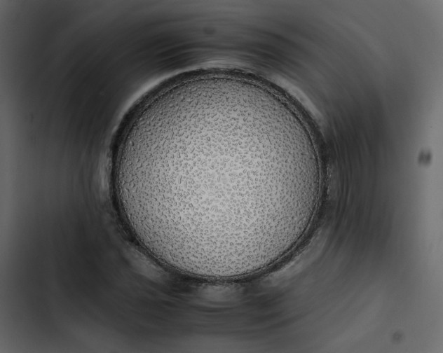 X0000102841021200809021331