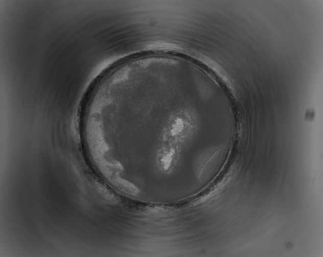 X0000102841022200809021331