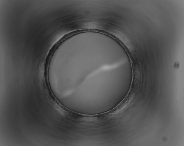 X0000102841023200809021331