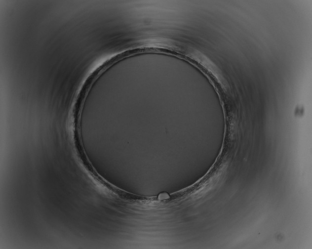 X0000102841024200809021331