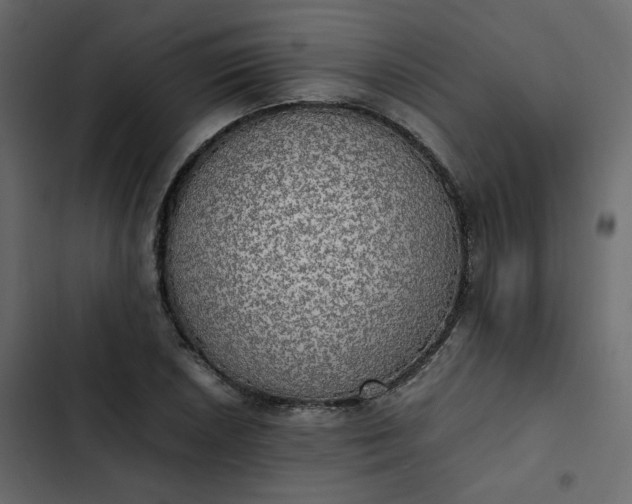 X0000102841026200809021332