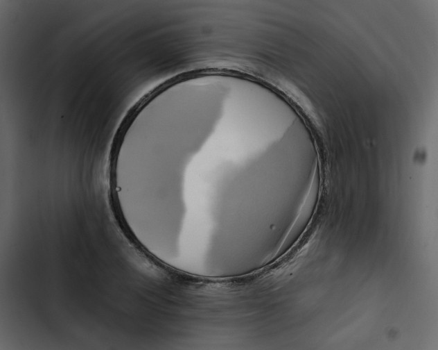 X0000102841028200809021332