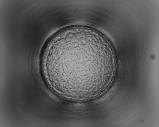 X0000102841029200809021332