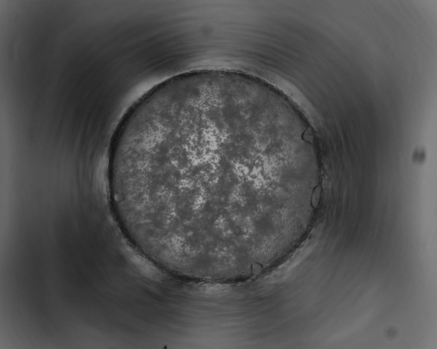 X0000102841030200809021332