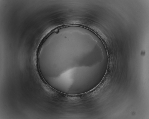 X0000102841031200809021332