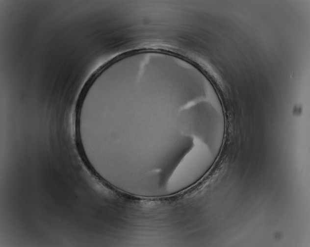 X0000102841032200809021332