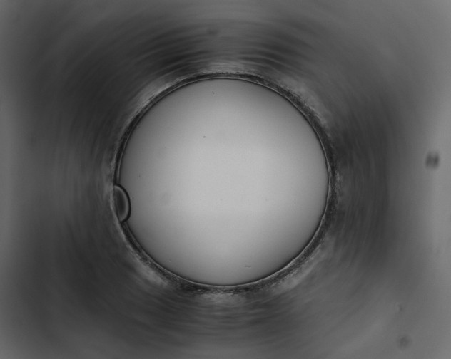 X0000102841033200809021332