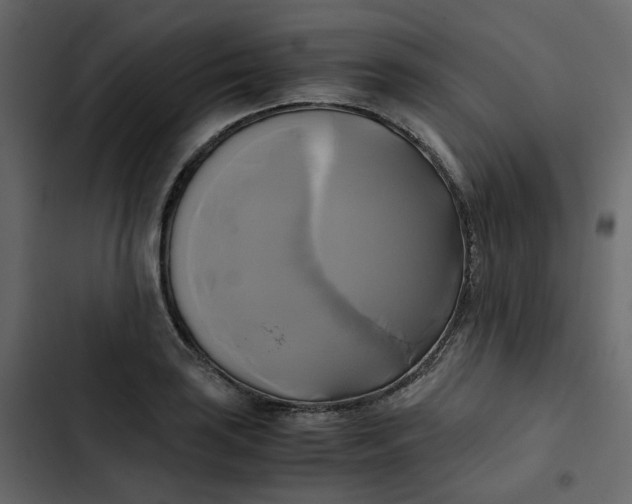 X0000102841035200809021332