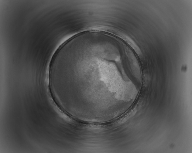 X0000102841036200809021332