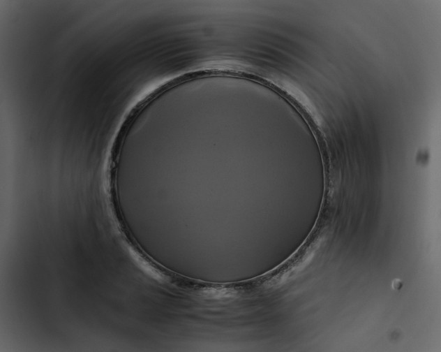 X0000102841037200809021332