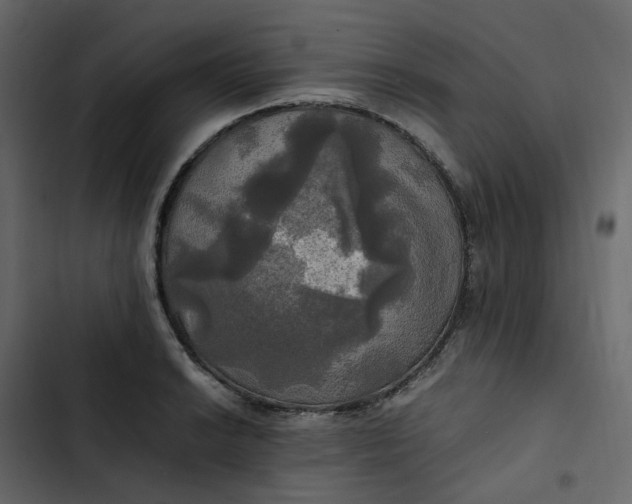 X0000102841038200809021332