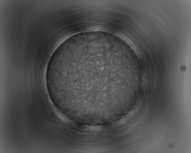 X0000102841039200809021332