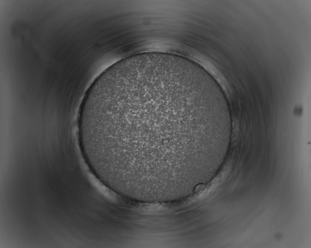 X0000102841042200809021332