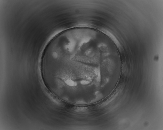 X0000102841043200809021332