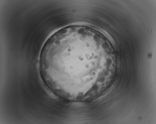 X0000102841044200809021332