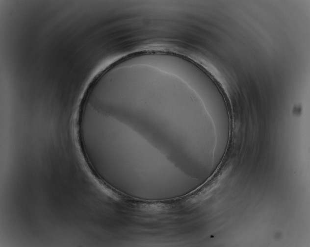 X0000102841045200809021332