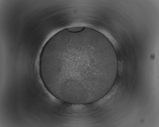 X0000102841046200809021332