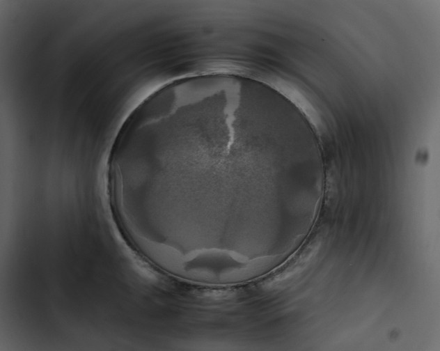 X0000102841047200809021332