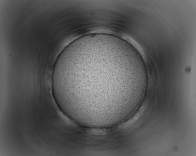 X0000102841049200809021332