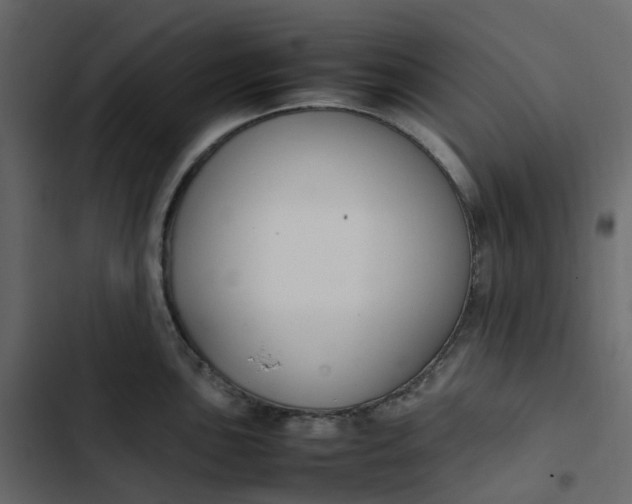 X0000102841051200809021332