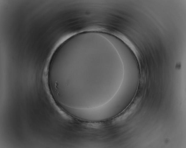 X0000102841053200809021332