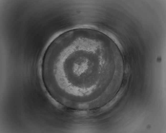 X0000102841054200809021332