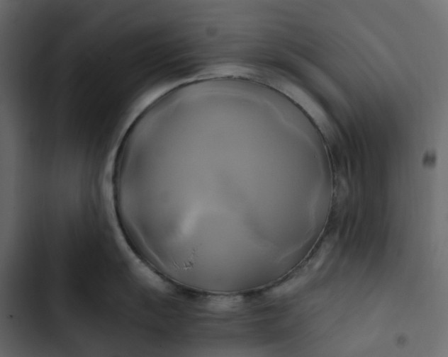 X0000102841055200809021332